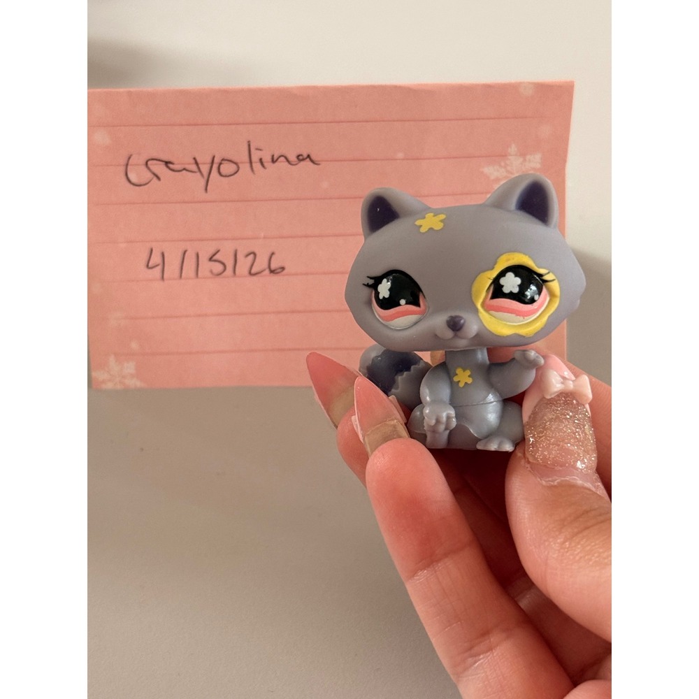 Hasbro Littlest Pet Shop Raccoon 583 Grey Yellow Flower Eye Collectible Figure